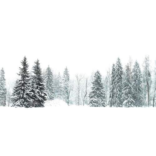 Photo #11771507
