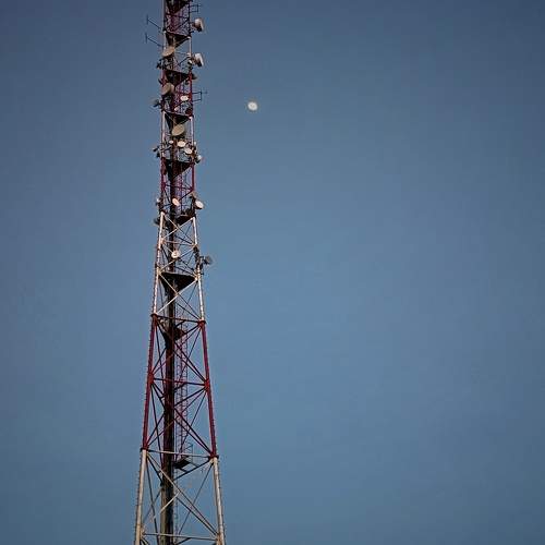 Photo #11771668