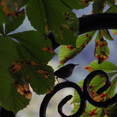 Photo #11771681