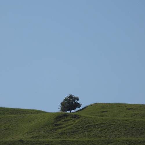 Photo #11771726