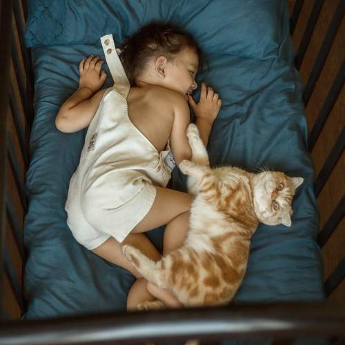 Photo #11771836