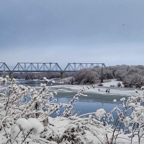 Photo #11771924