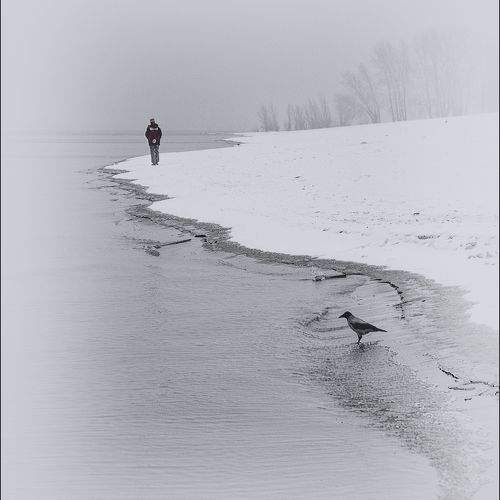 Photo #11772179