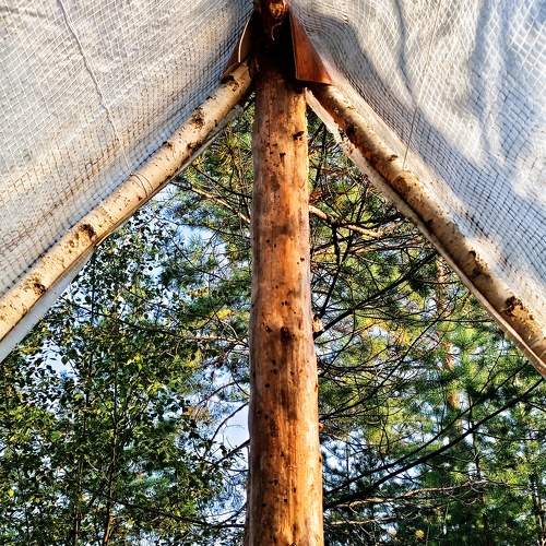 Photo #11772326