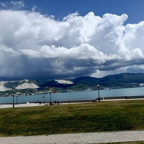 Photo #11772390