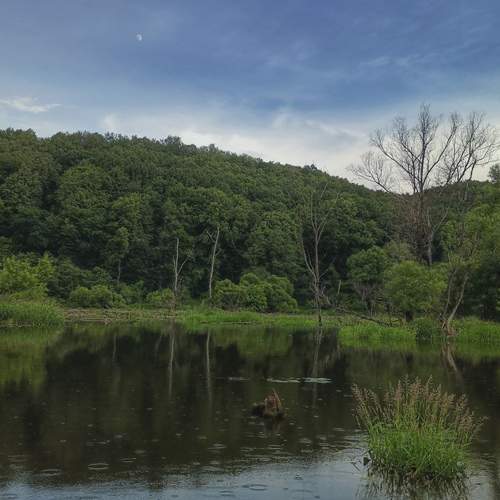 Photo #11772401