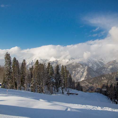Photo #11772440