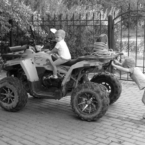 Photo #11772471