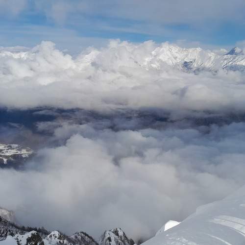 Photo #11772488