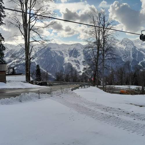 Photo #11772498