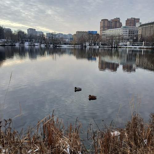 Photo #11772619