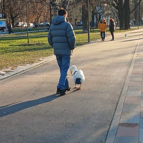 Photo #11772628
