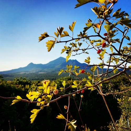 Photo #11772675
