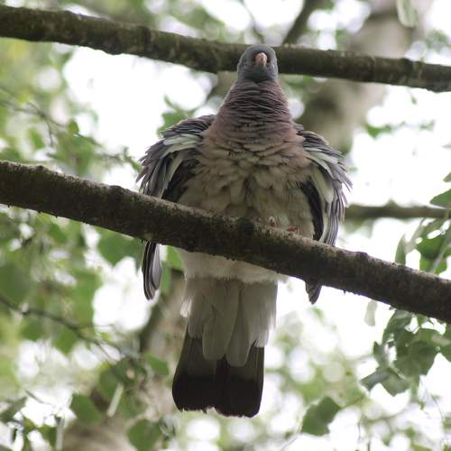 Photo #11772821