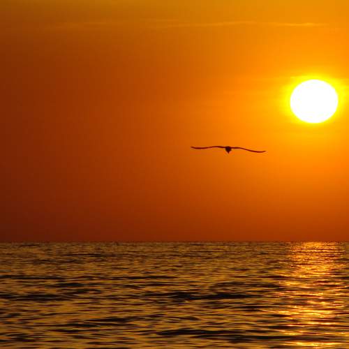 Photo #11772871