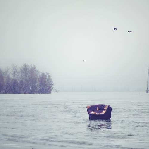 Photo #11773009
