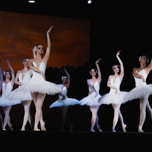 Photo #11773053