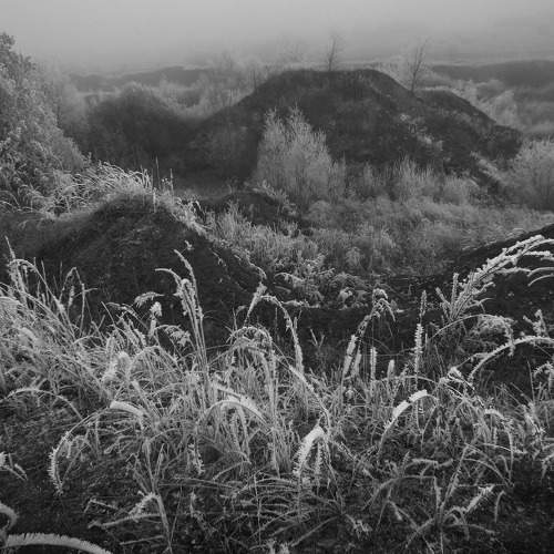 Photo #11773220