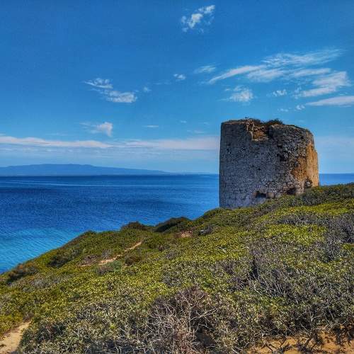 Photo #11773242