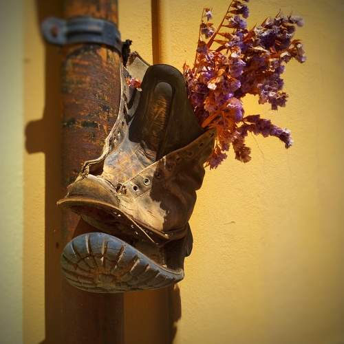 Photo #11773270