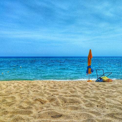 Photo #11773273
