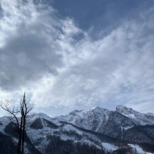Photo #11773282