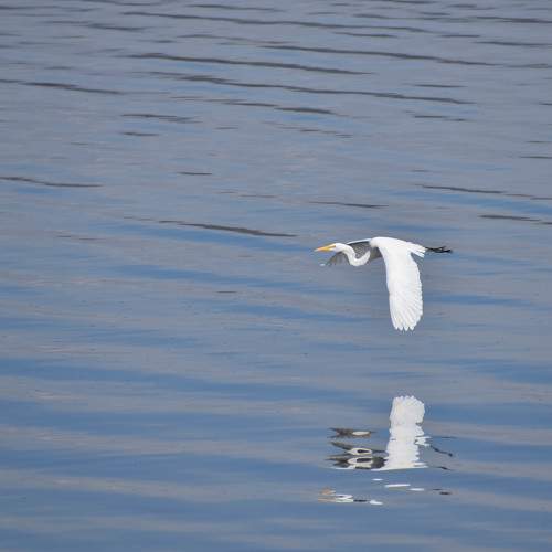 Photo #11773380
