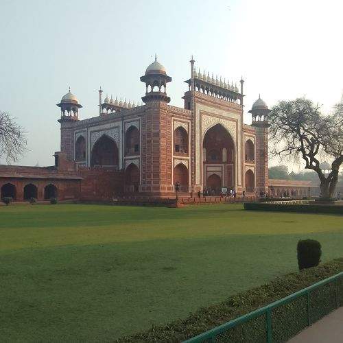 Photo #11773418