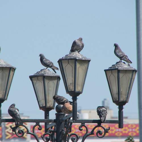 Photo #11773511