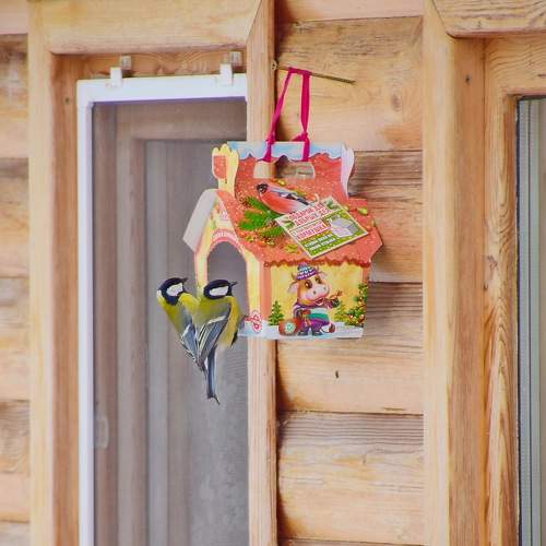 Photo #11773544