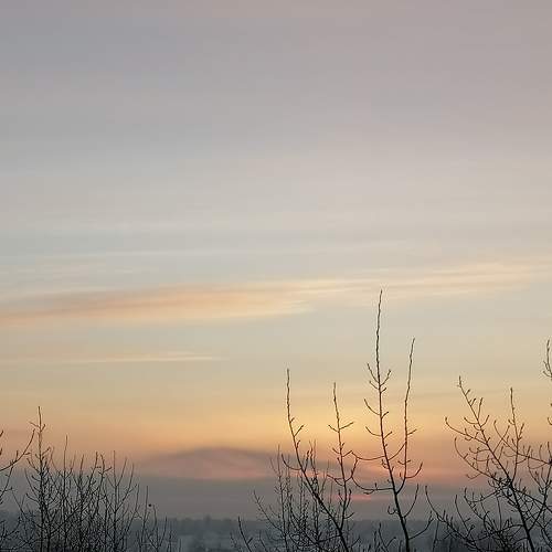 Photo #11773642