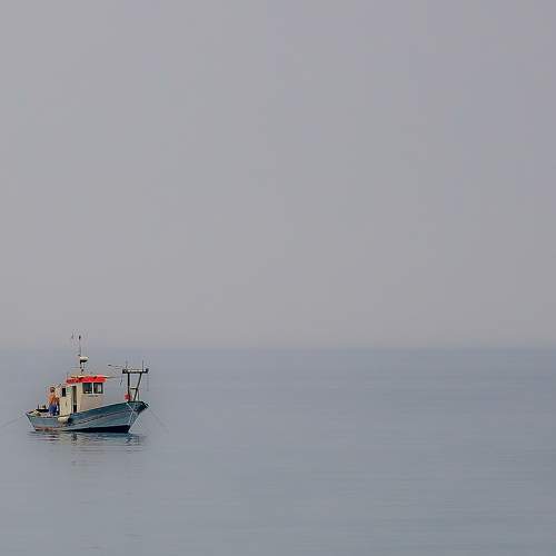 Photo #11773693