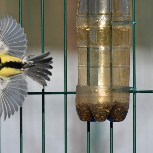 Photo #11773823