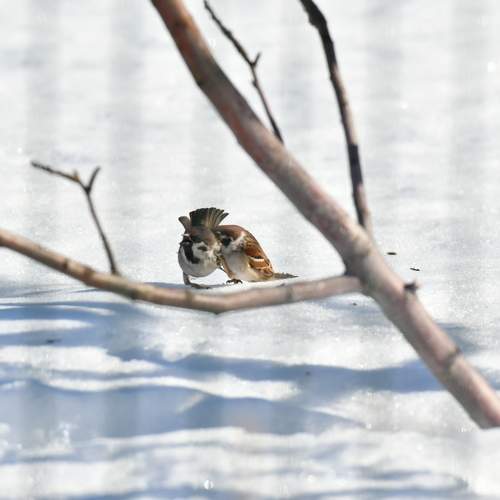 Photo #11773850
