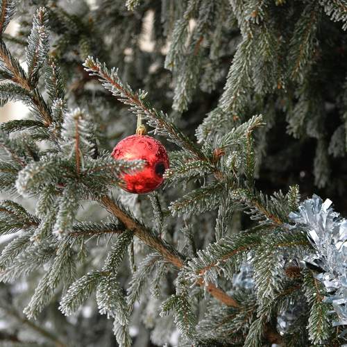 Photo #11773853
