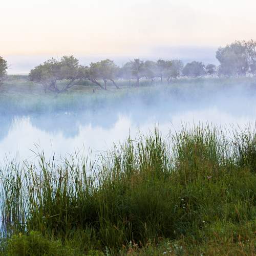 Photo #11774027