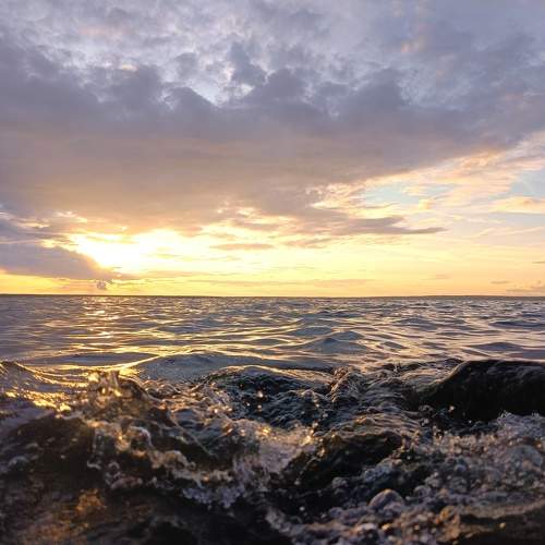Photo #11774231