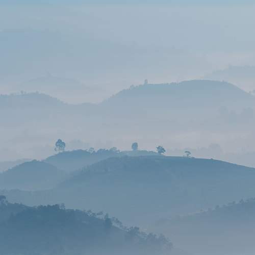 Long Quan Lai tran