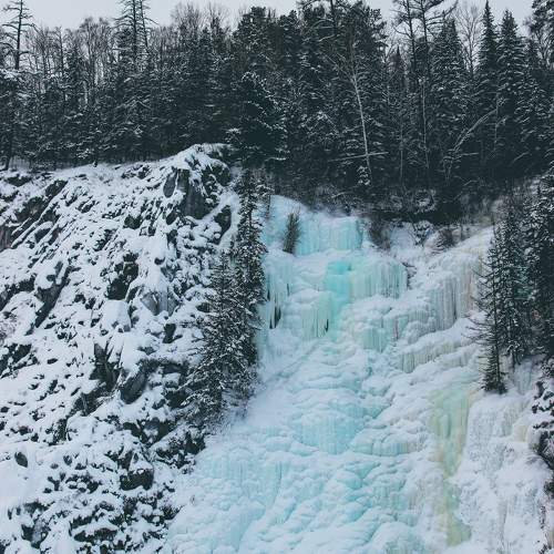 Photo #11774907