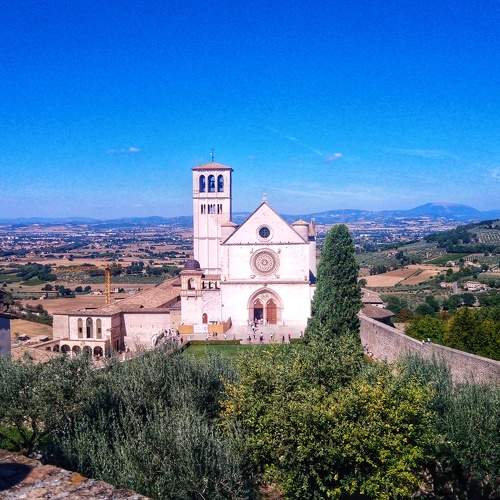 Photo #11774970