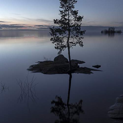 Photo #11775024