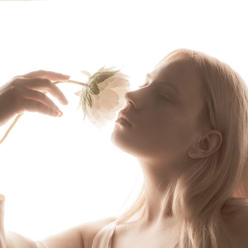 Photo #11775049