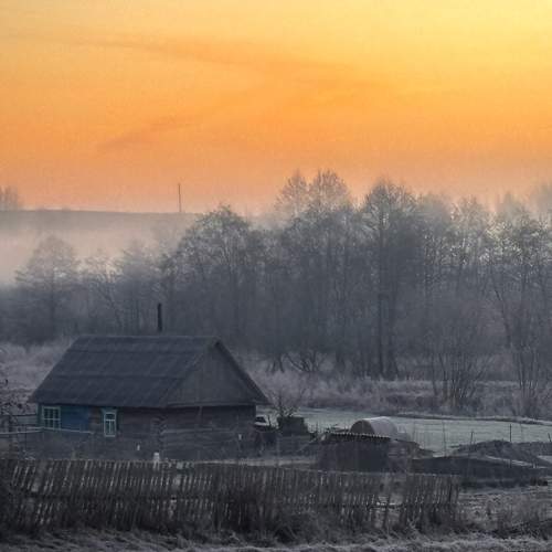 Photo #11775249