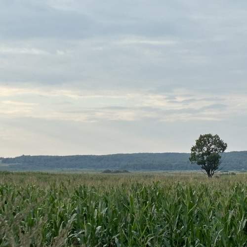Photo #11775345