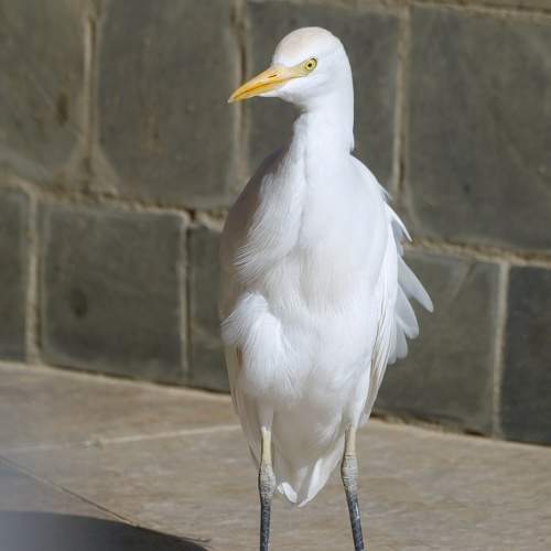 Photo #11775596