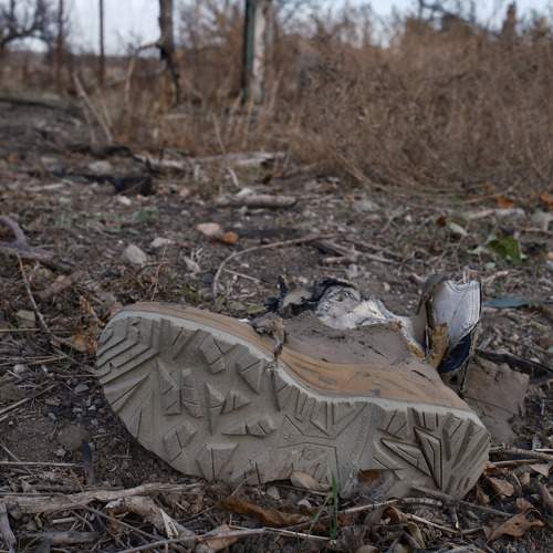 Фотография #11775617