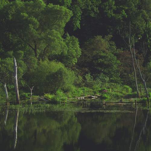 Photo #11776167
