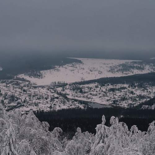 Photo #11776267