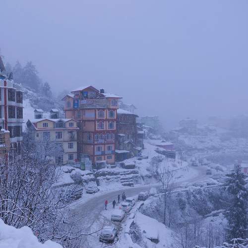 Photo #11776397