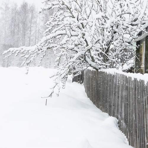 Photo #11776417